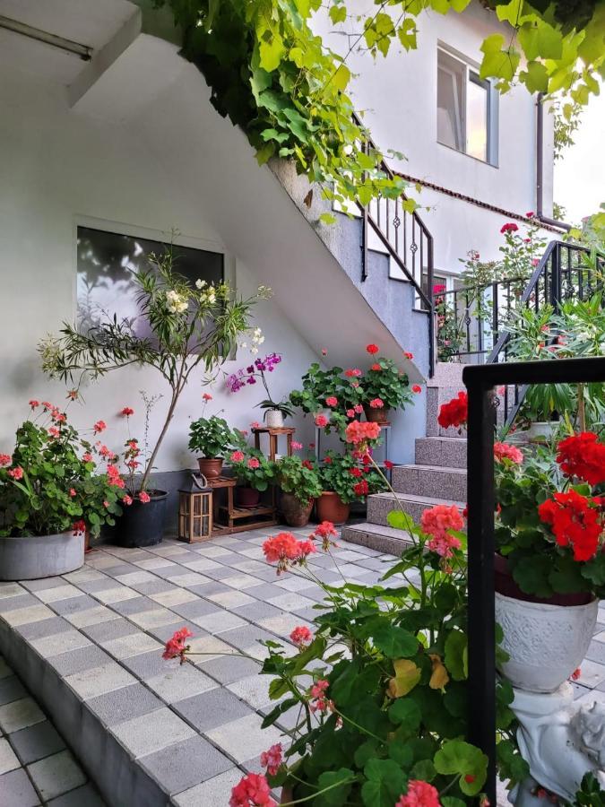 Vila Didi, Mangalya Dış mekan fotoğraf